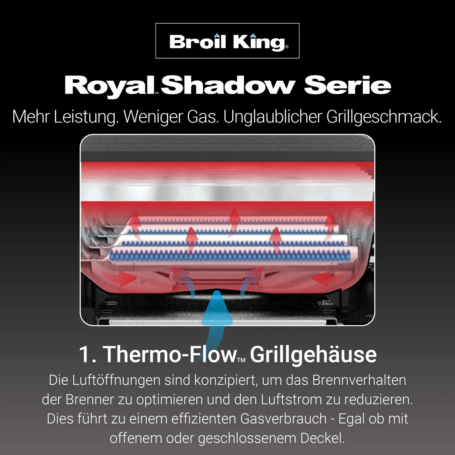 Vorschaubild 7